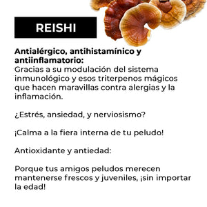 EXTRACTO DE GANODERMA REISHI