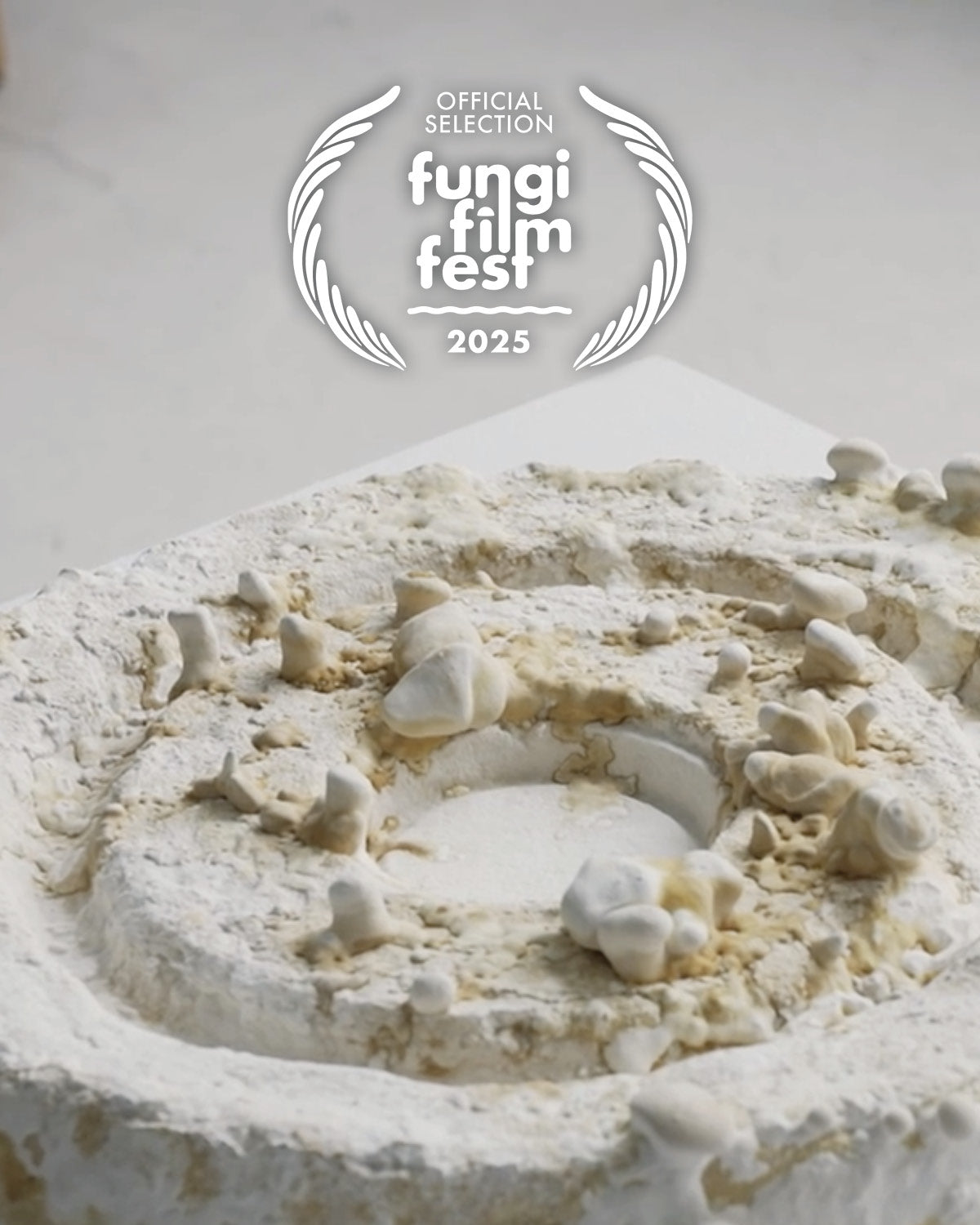 FUNGI FILM FESTIVAL 2025