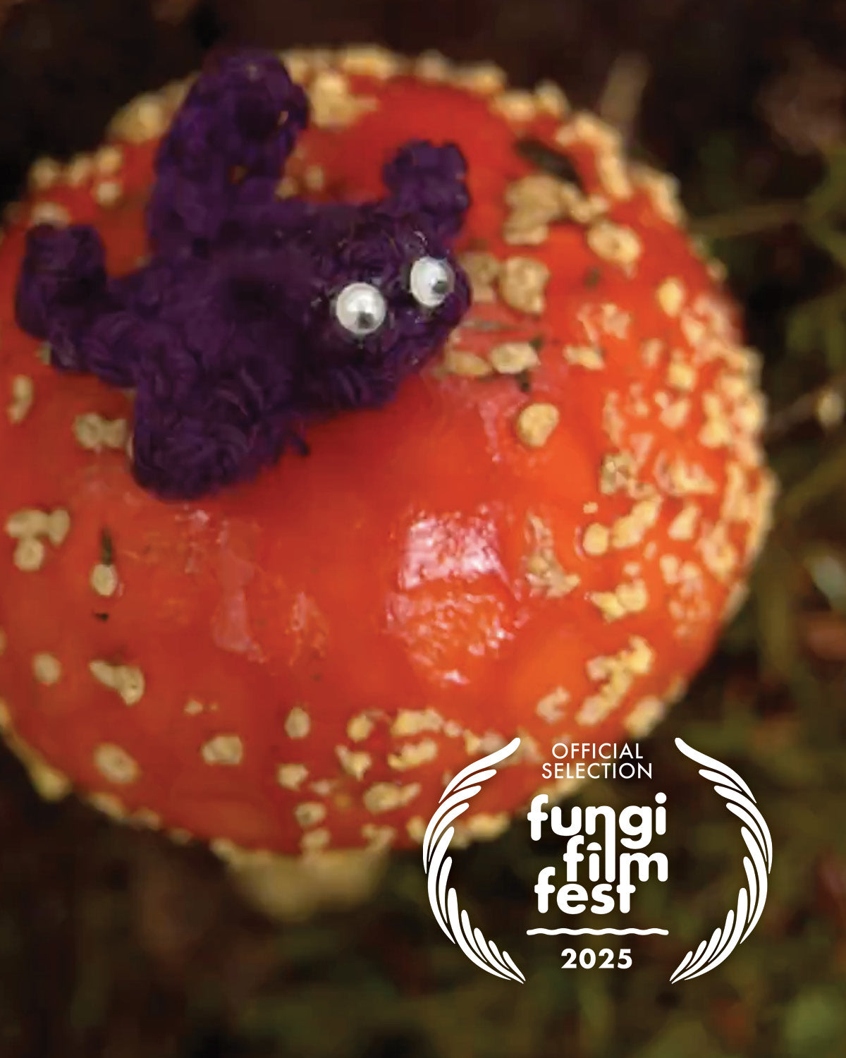 FUNGI FILM FESTIVAL 2025