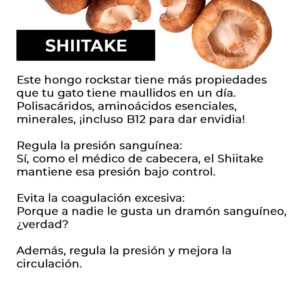 SHIITAKE EXTRACT (LENTINUS EDODES)