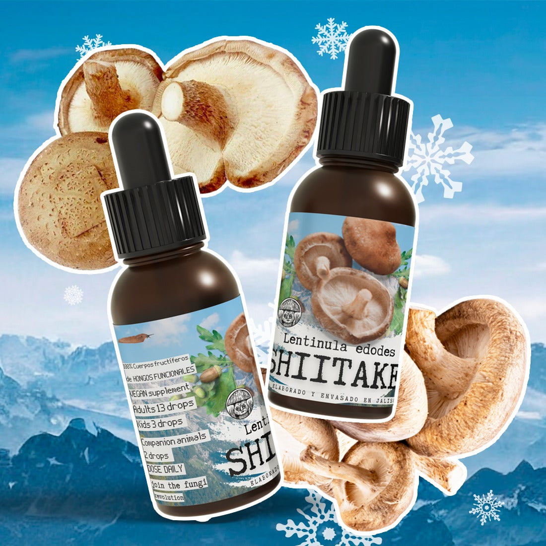 SHIITAKE EXTRACT (LENTINUS EDODES)