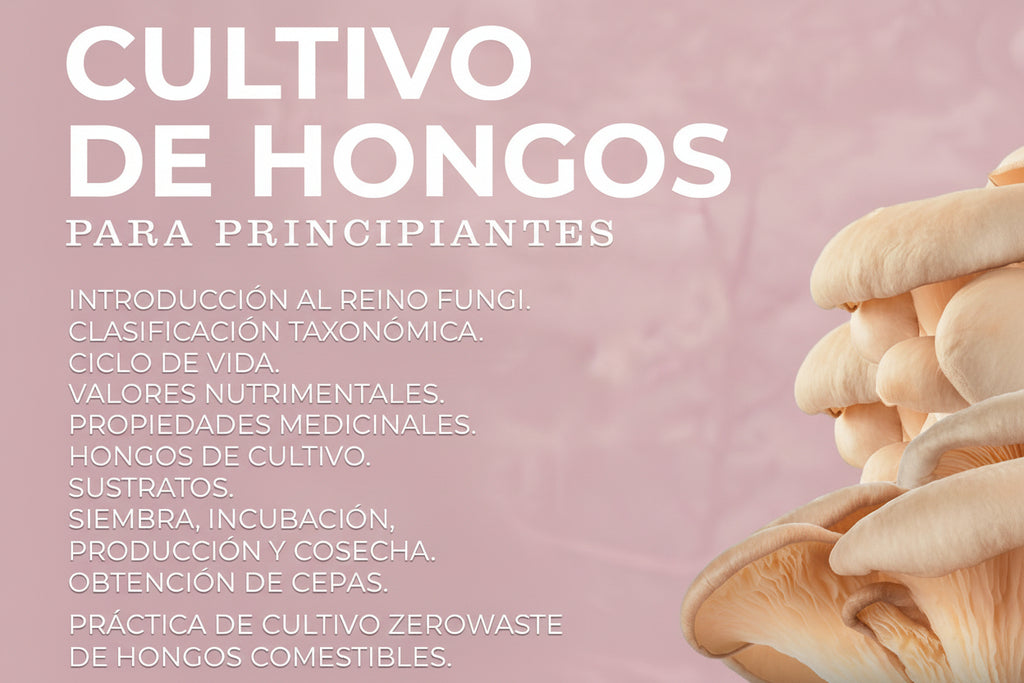 TALLER DE CULTIVO PRINCIPIANTES en linea