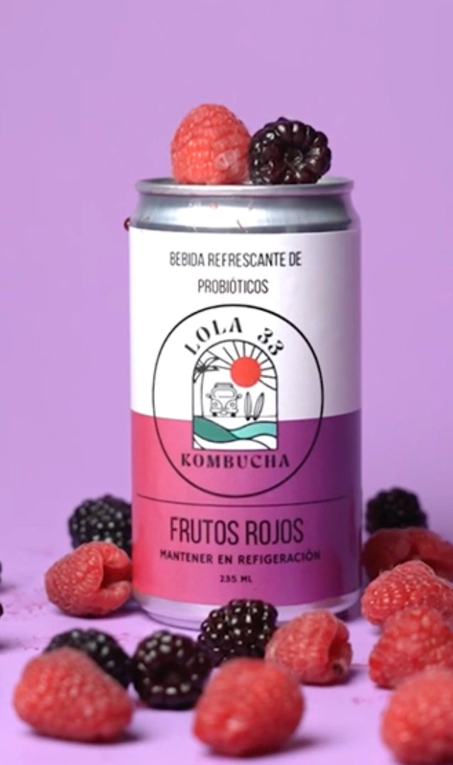 Kombucha Lola 33. 237ml