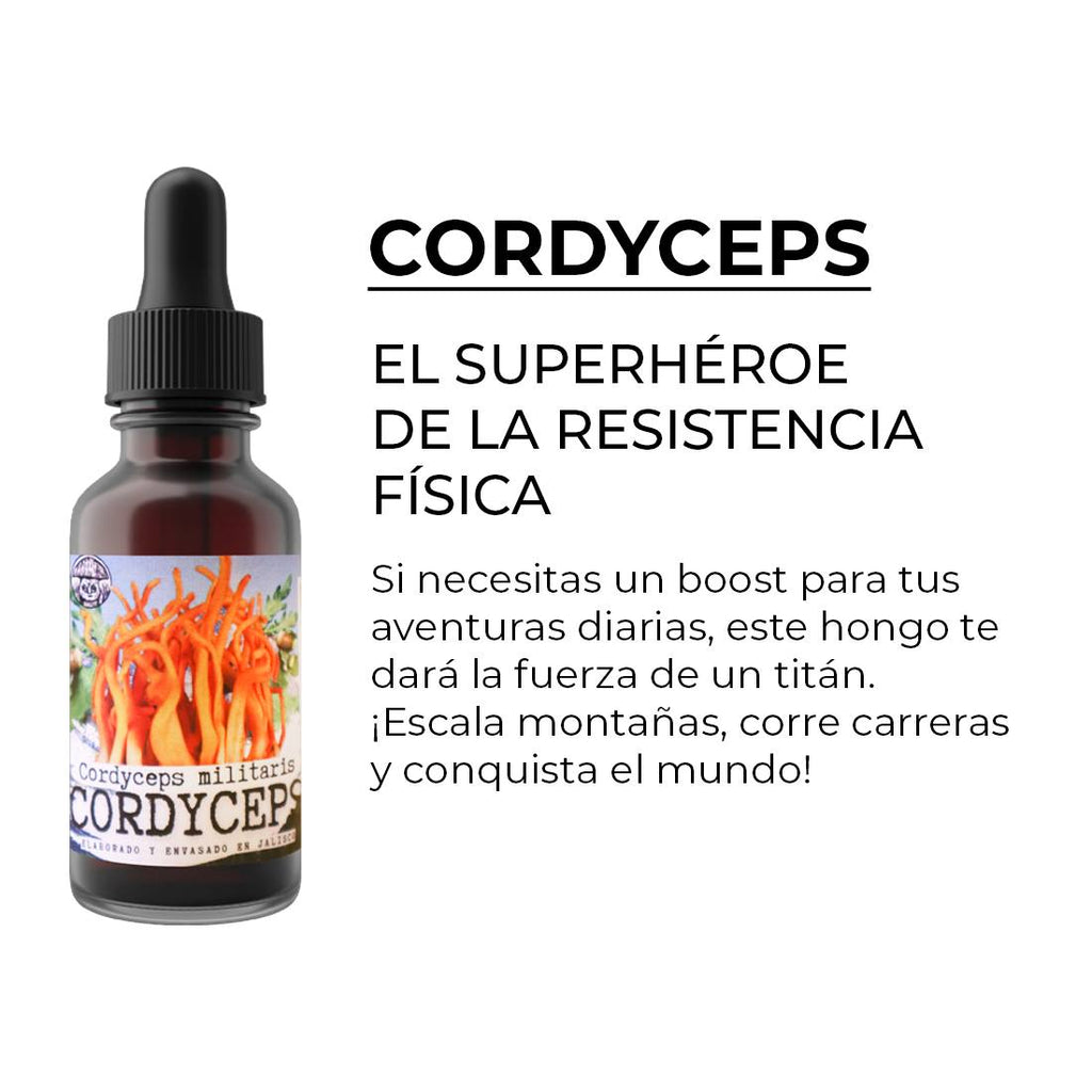 CORDYCEPS MILITARIS Adaptogen Extract