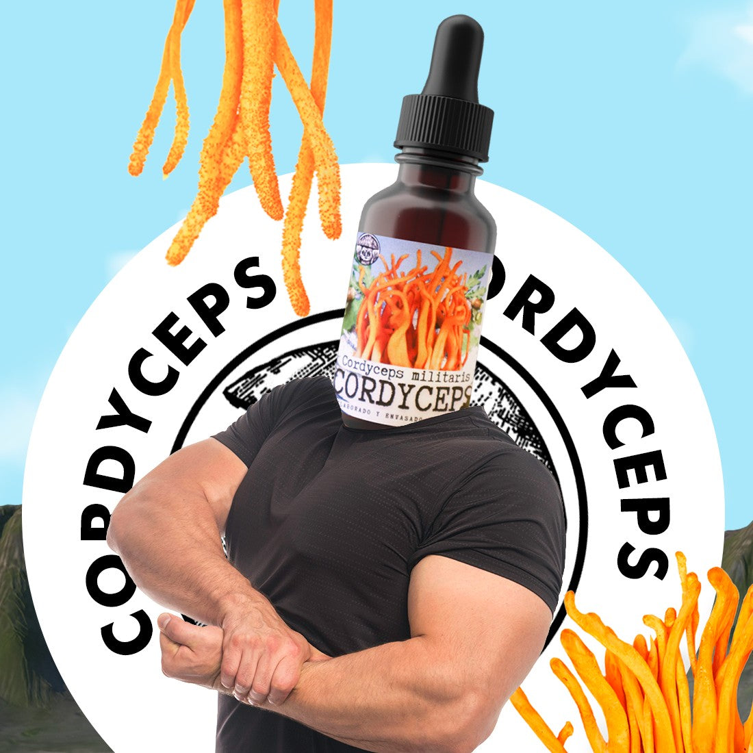 CORDYCEPS MILITARIS Adaptogen Extract