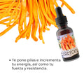 Extracto Adaptogeno CORDYCEPS MILITARIS