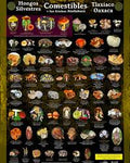 Poster Hongos Comestibles de la Mixteca de Oaxaca