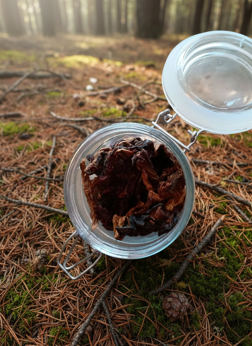 Porcini deshidratado 40gr (Boletus)