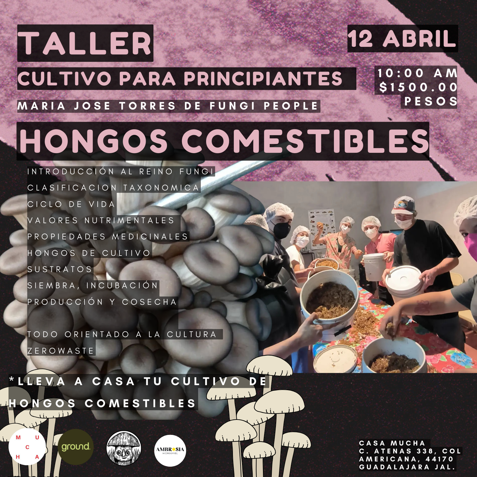 IN-PERSON CULTIVATION WORKSHOP FOR BEGINNERS