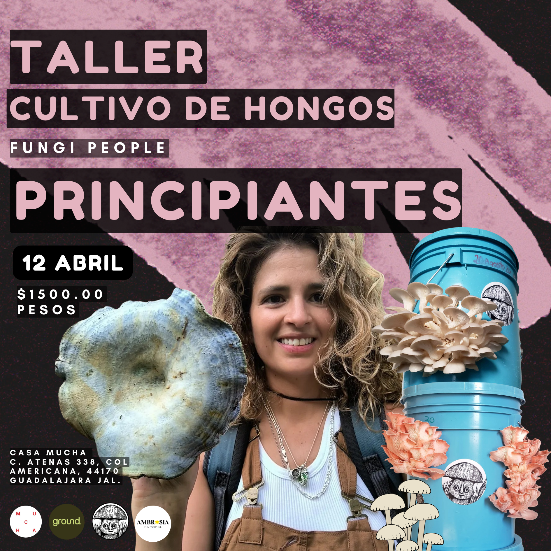 IN-PERSON CULTIVATION WORKSHOP FOR BEGINNERS