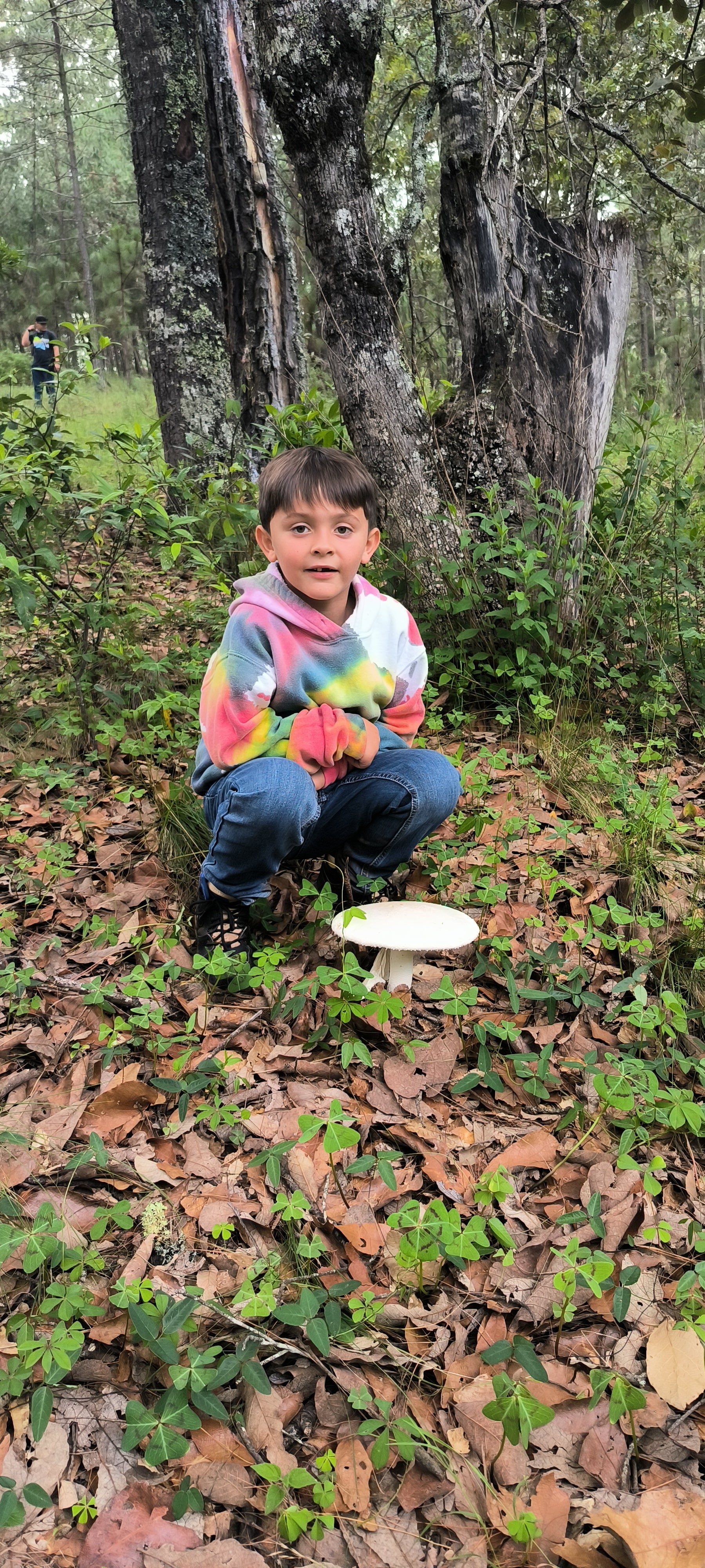Mushrooms in Juanacatlán, Jalisco 🍄 Fungi Hiking
