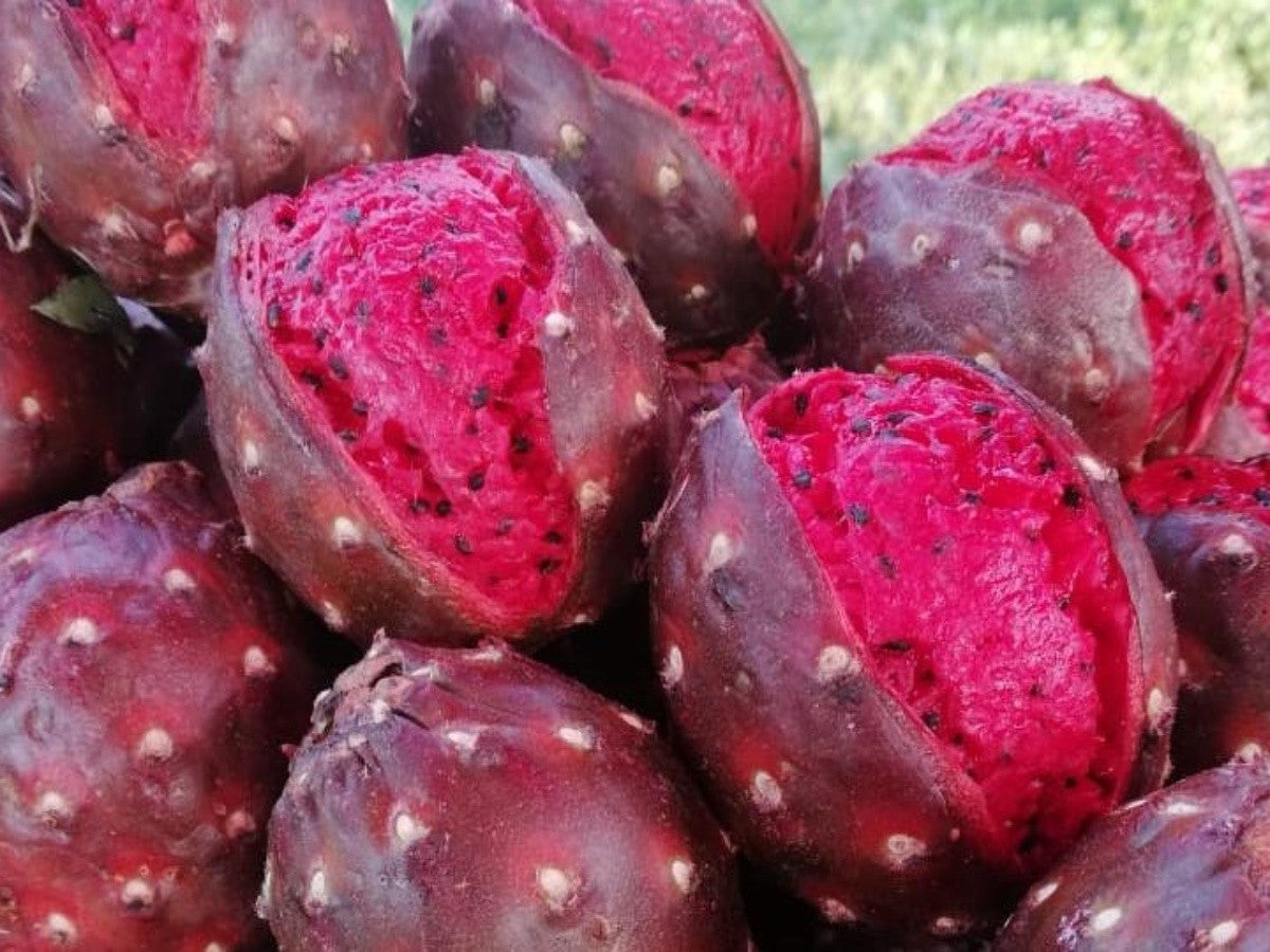 Extra pitaya