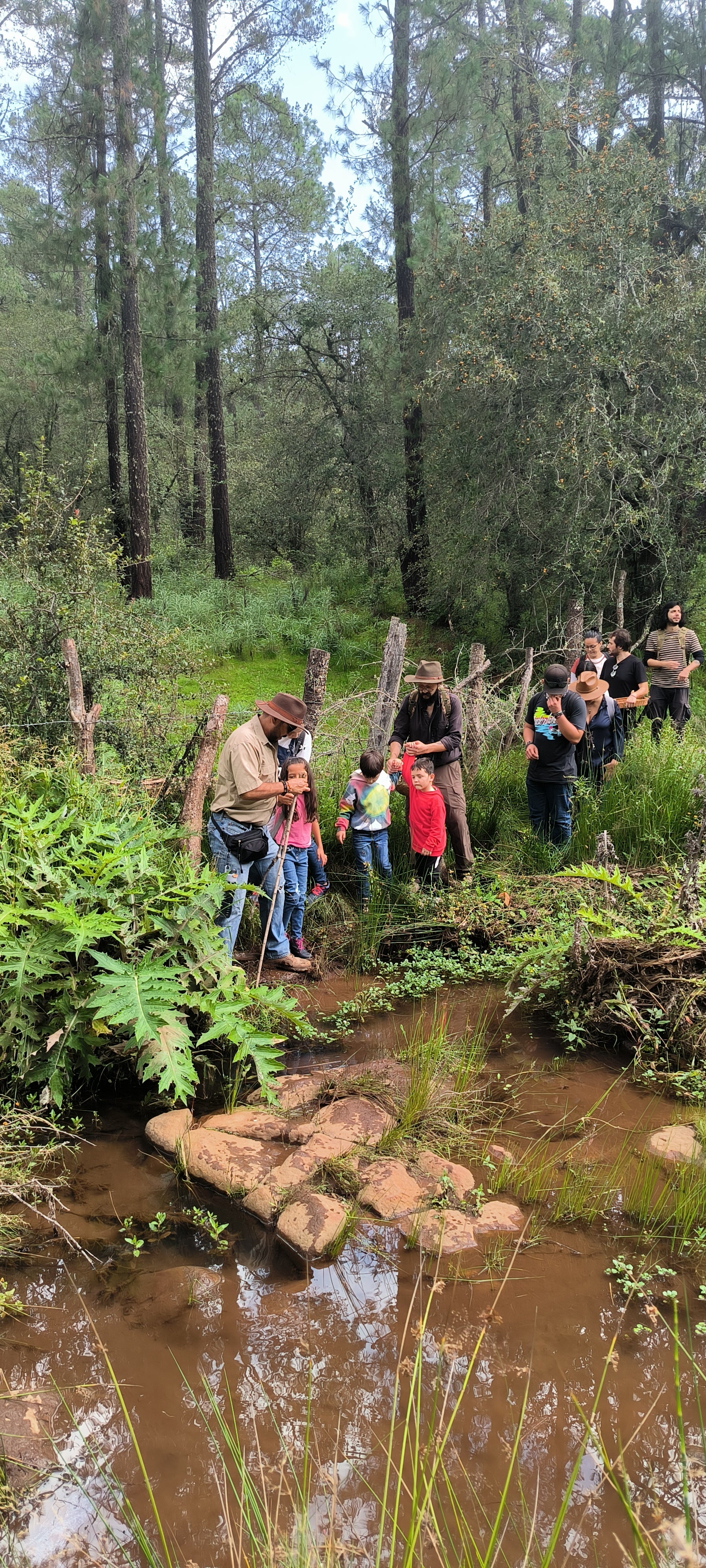 Mushrooms in Juanacatlán, Jalisco 🍄 Fungi Hiking