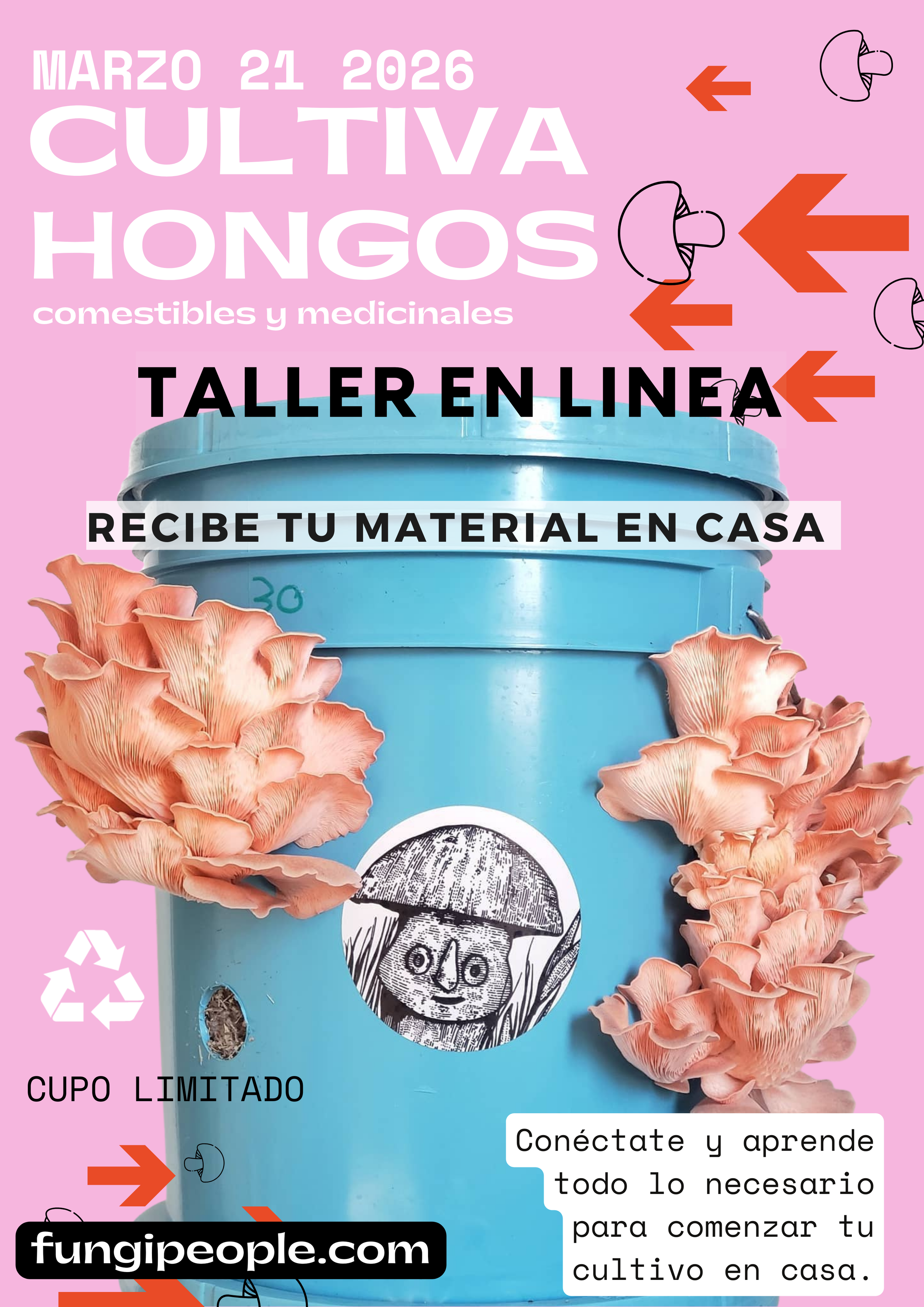 TALLER DE CULTIVO PRINCIPIANTES en linea