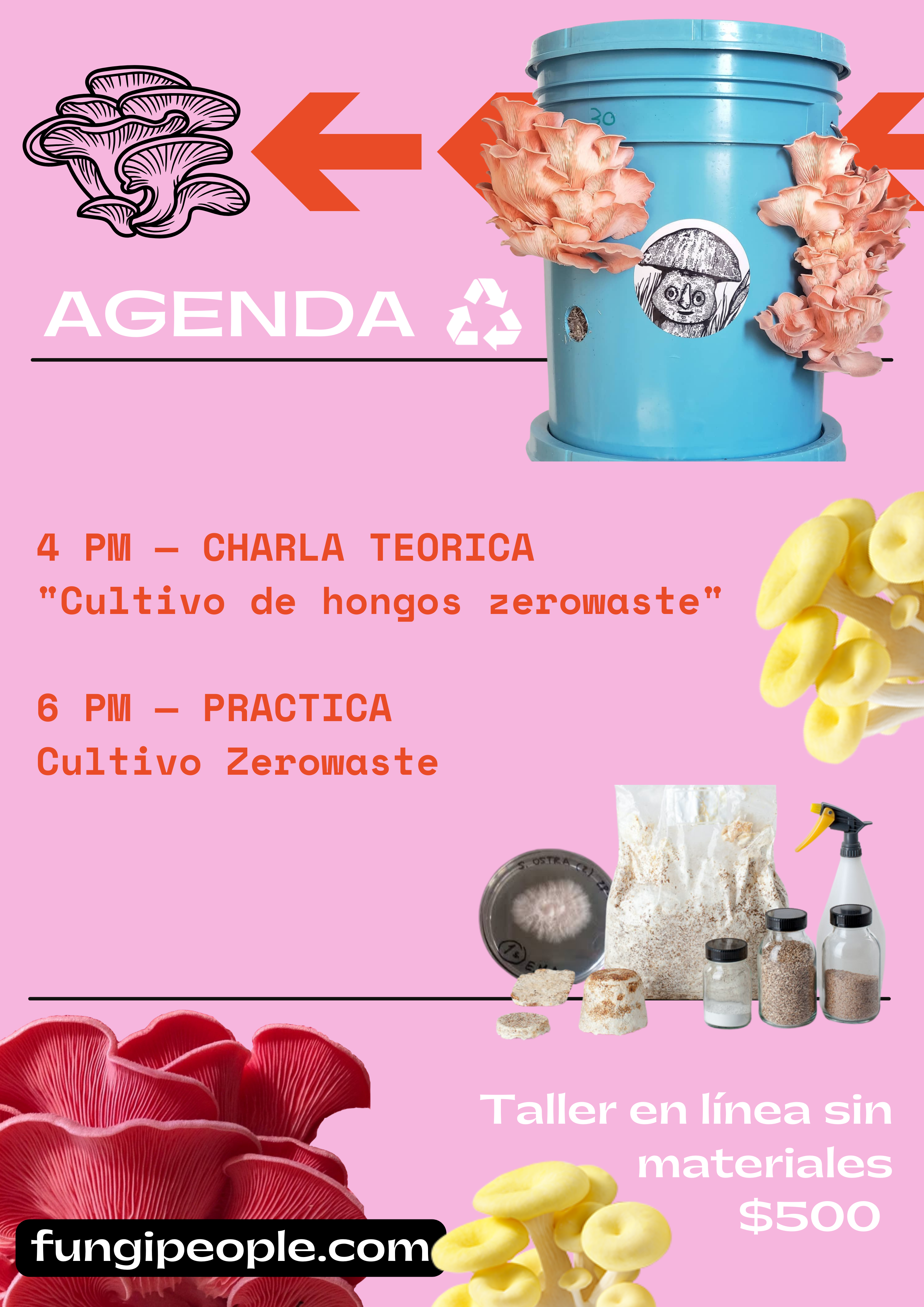 TALLER DE CULTIVO PRINCIPIANTES en linea