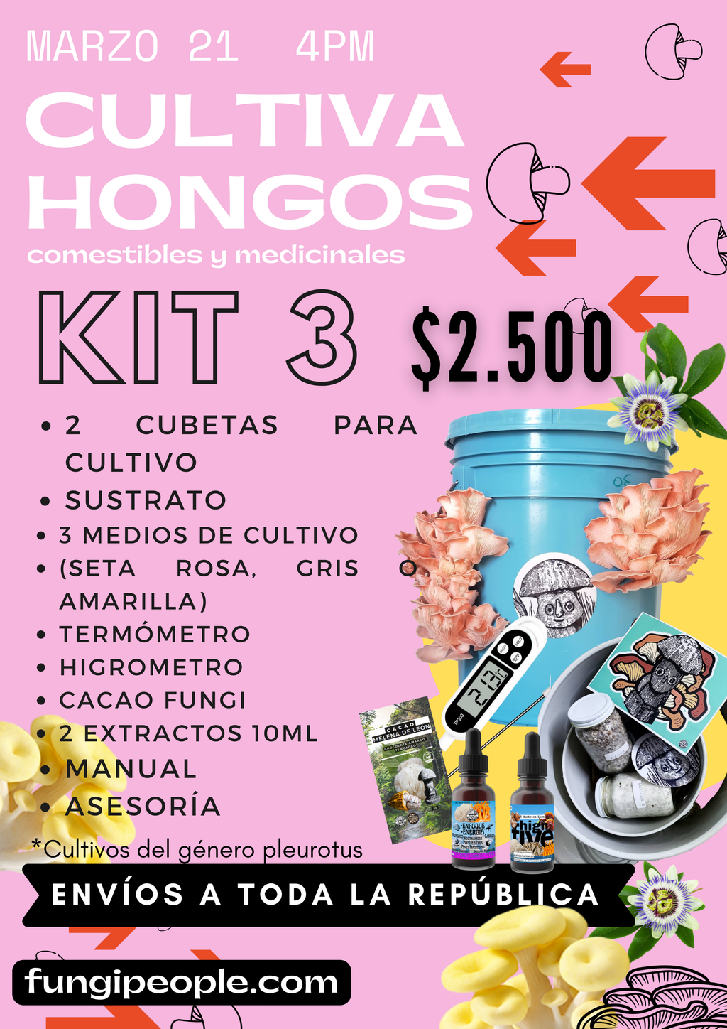 TALLER DE CULTIVO PRINCIPIANTES en linea