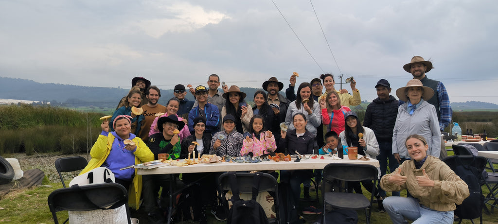 Mushrooms in Juanacatlán, Jalisco 🍄 Fungi Hiking