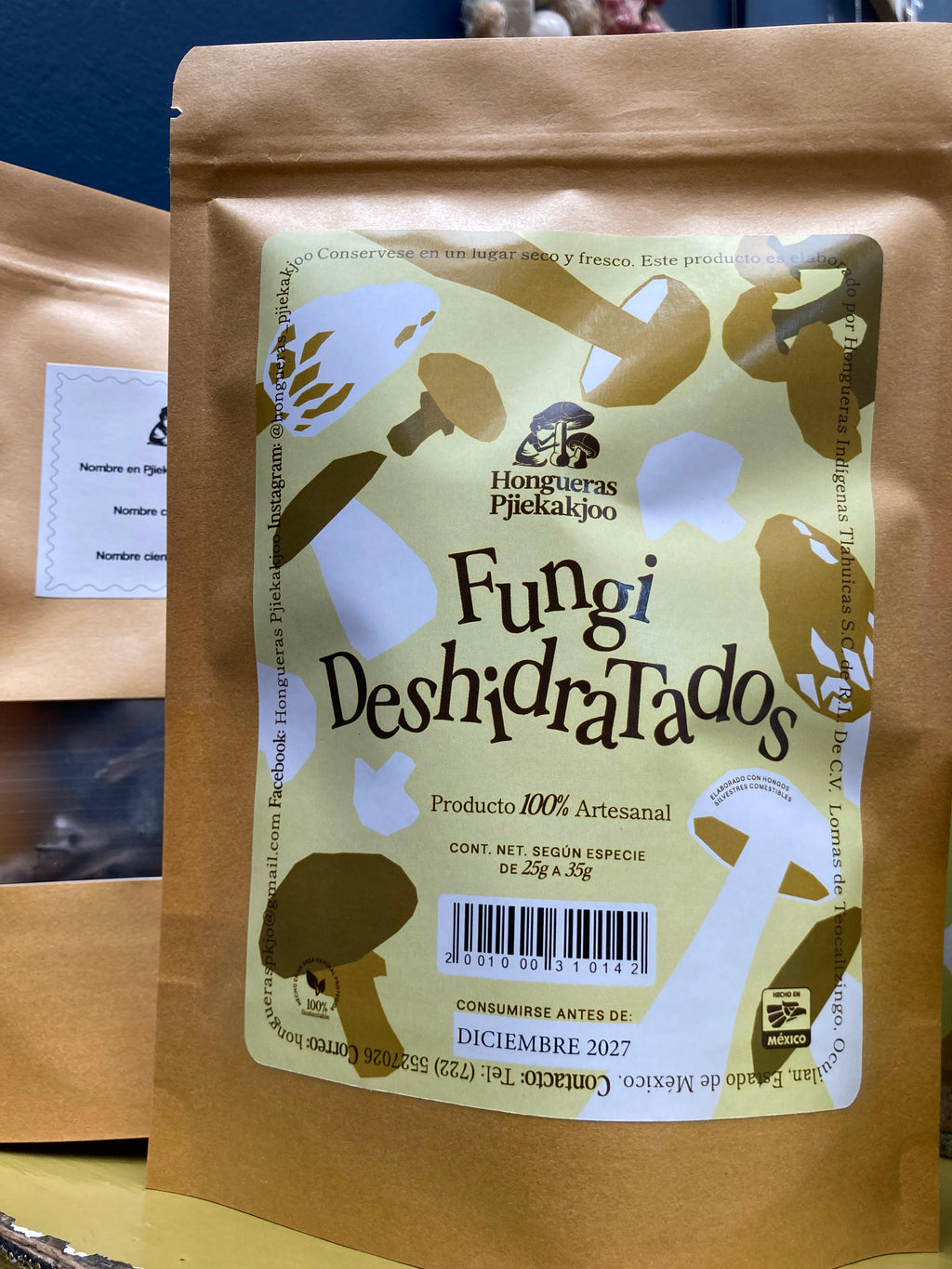 FUNGI FILM FESTIVAL EN CDMX 2025 🍄