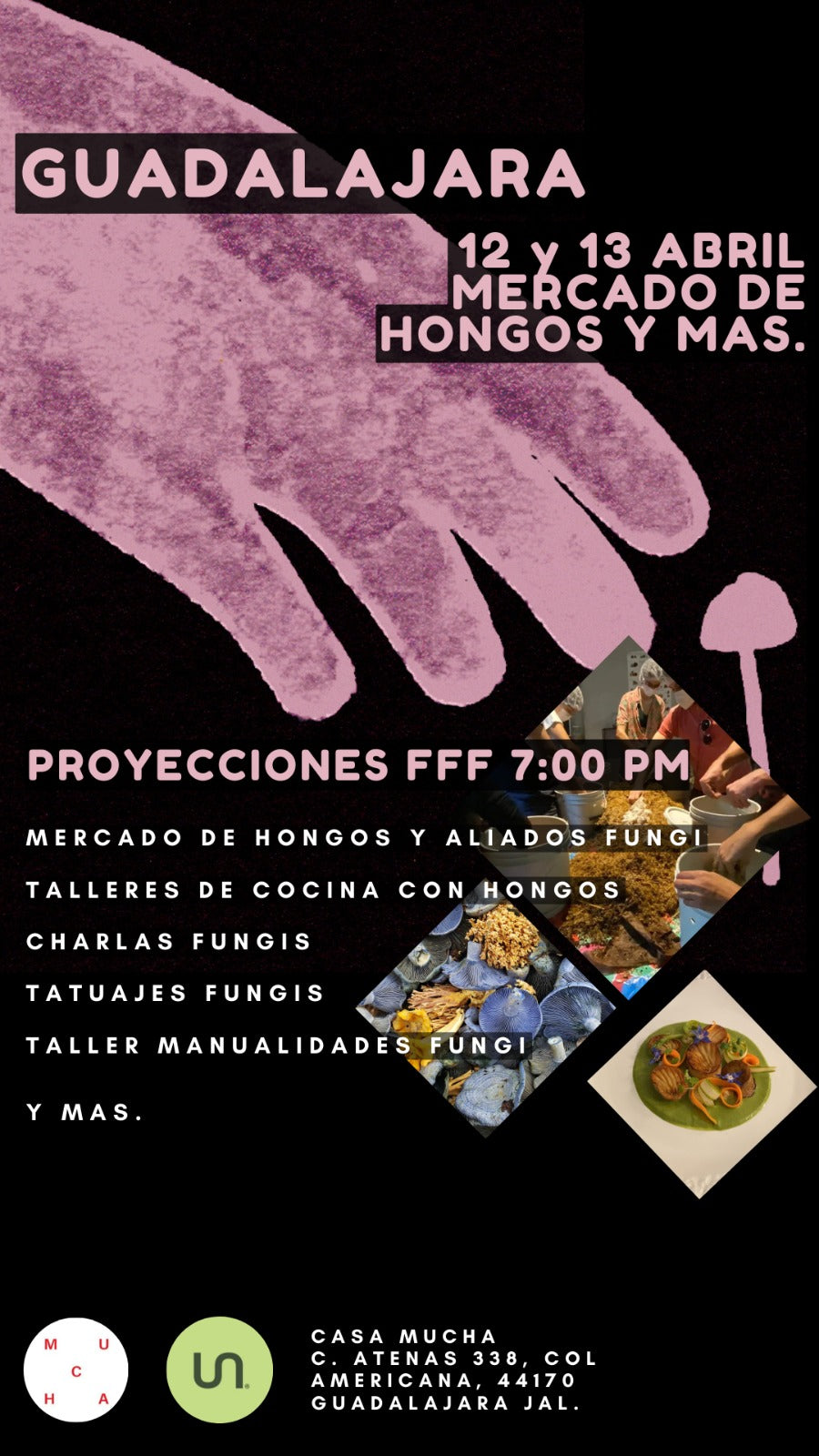 FUNGI FILM FESTIVAL IN MEXICO 🍄