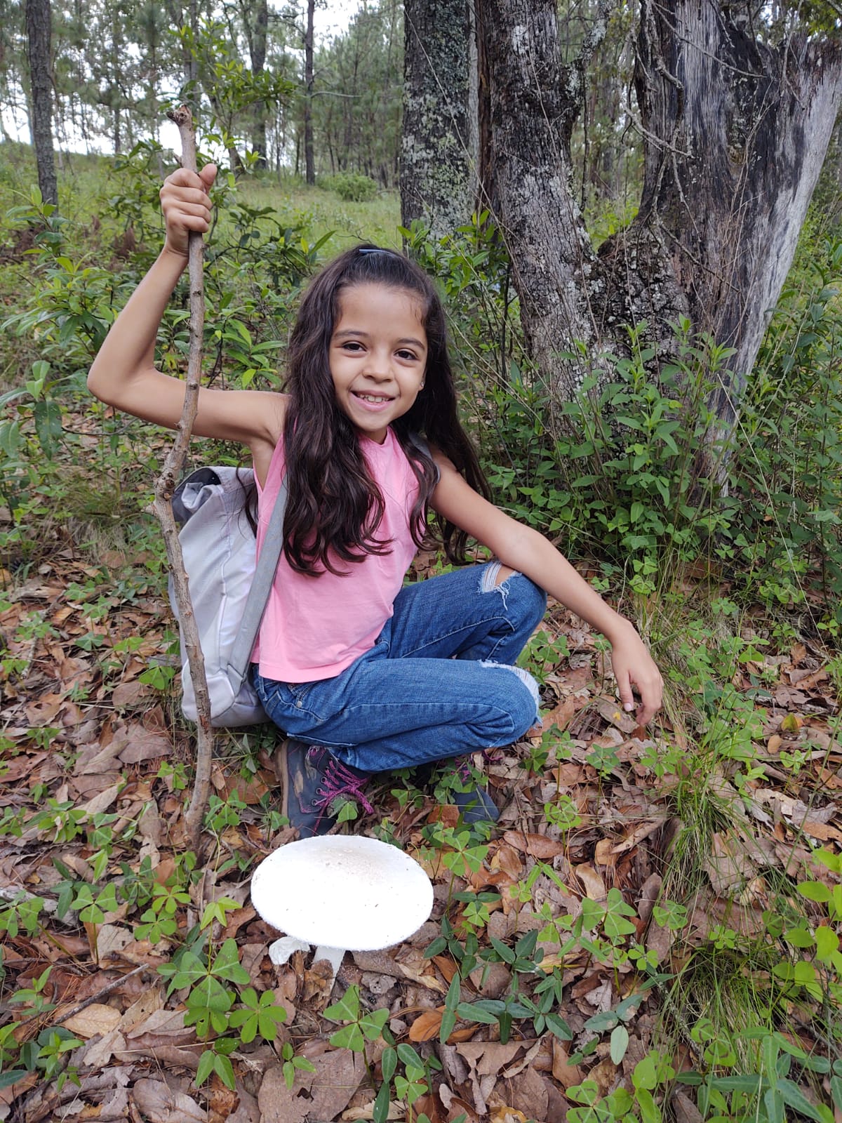 Mushrooms in Juanacatlán, Jalisco 🍄 Fungi Hiking