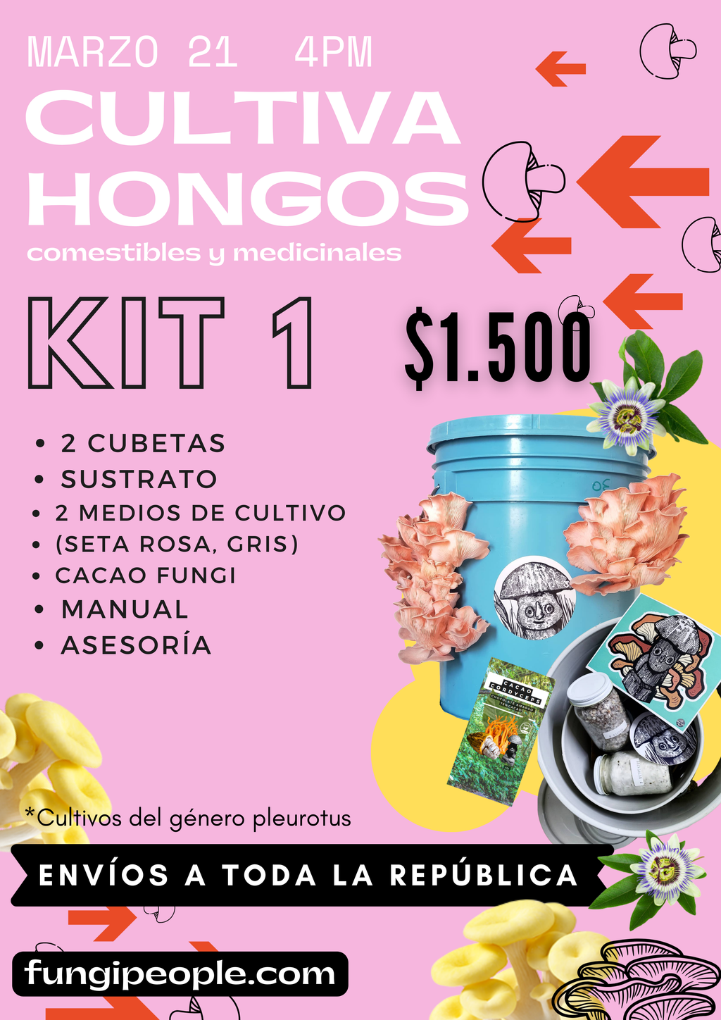 TALLER DE CULTIVO PRINCIPIANTES en linea