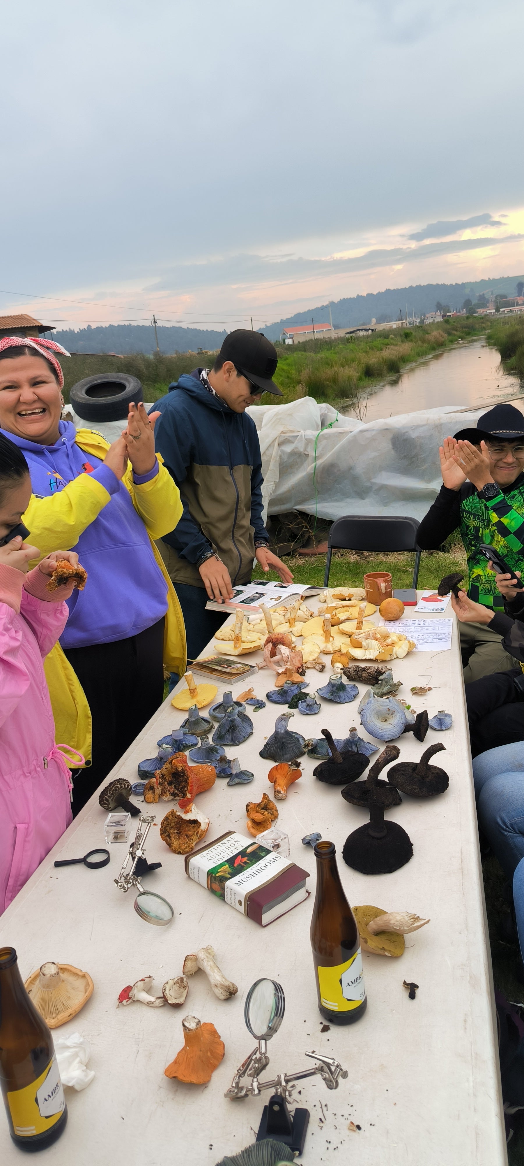 Mushrooms in Juanacatlán, Jalisco 🍄 Fungi Hiking