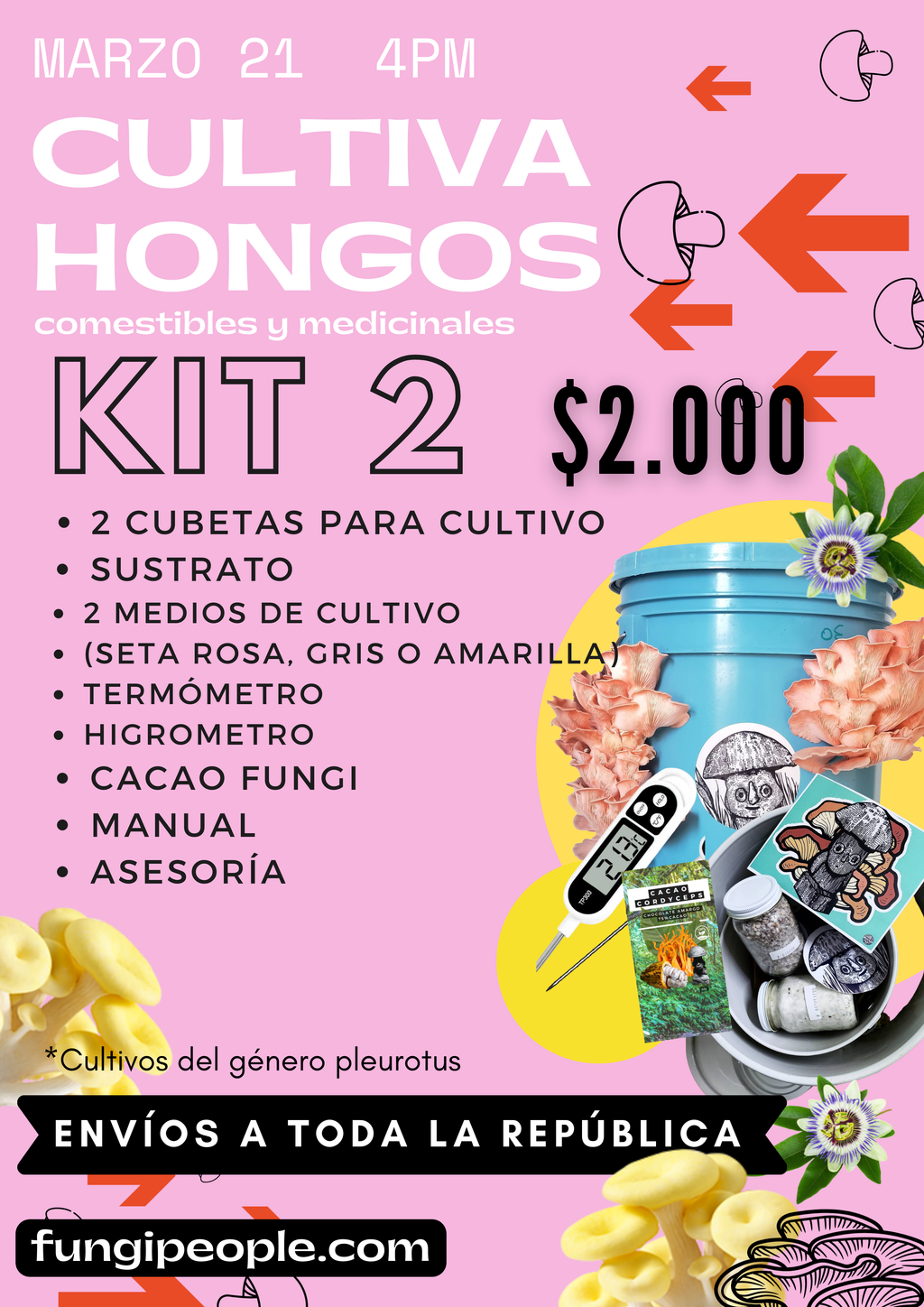 TALLER DE CULTIVO PRINCIPIANTES en linea