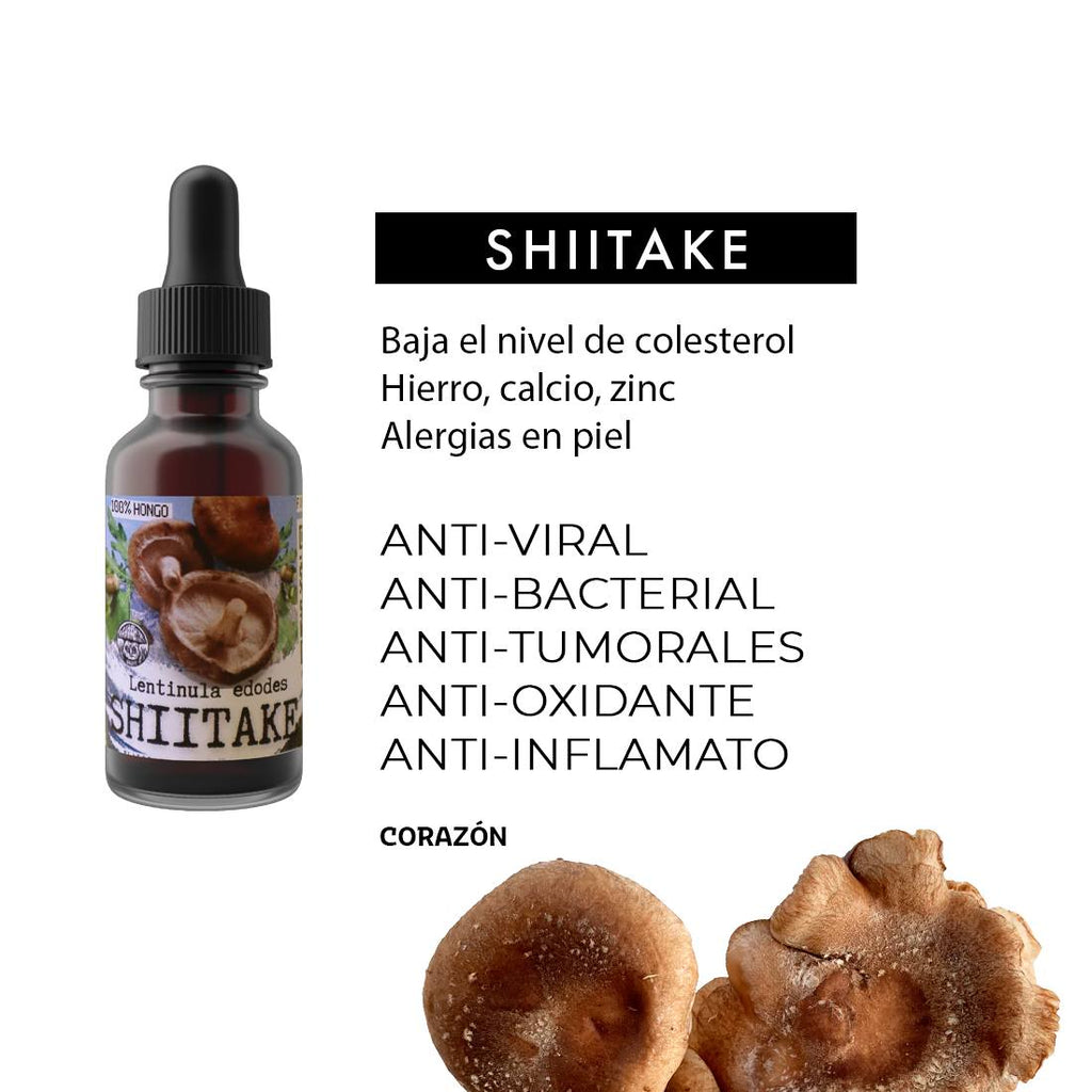 SHIITAKE EXTRACT (LENTINUS EDODES)