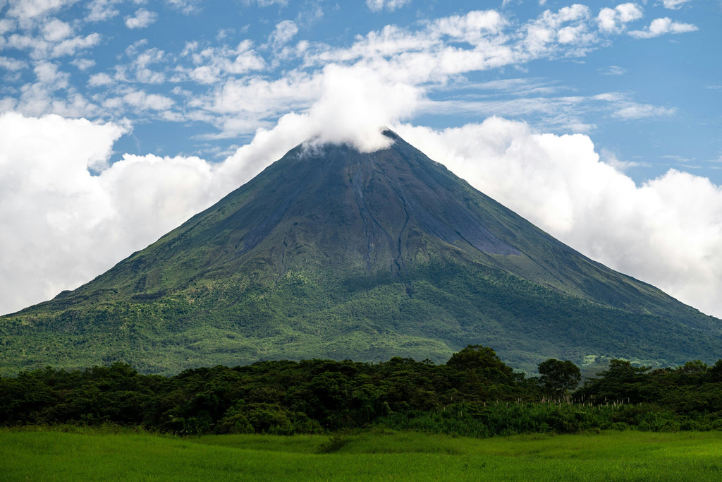 HONGOS EN COSTA RICA
