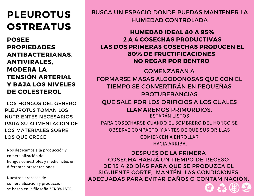 ZEROWASTE BUCKET CULTIVATION OF EDIBLE MUSHROOMS (Fungicubeta) 