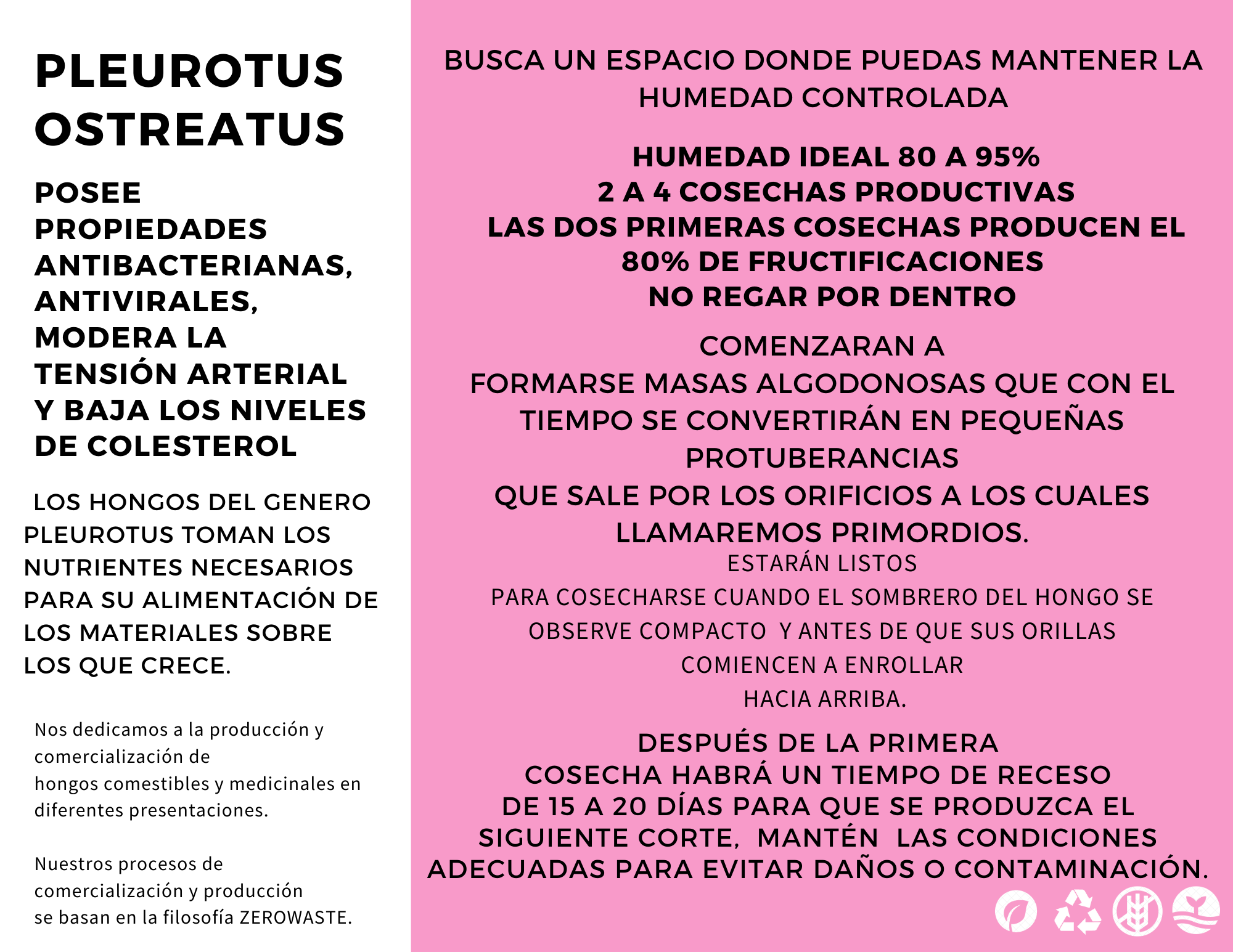 ZEROWASTE BUCKET CULTIVATION OF EDIBLE MUSHROOMS (Fungicubeta) 