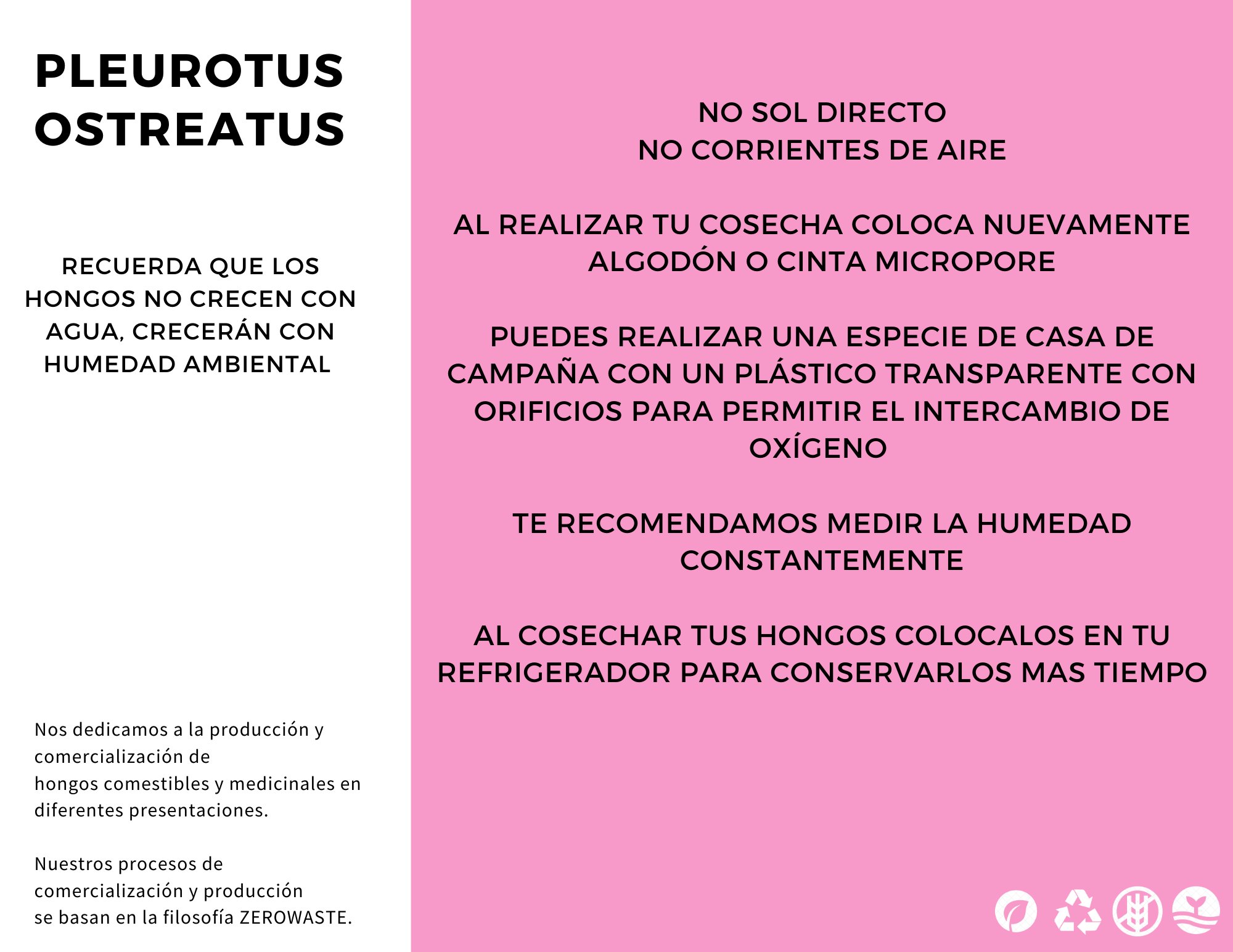 ZEROWASTE BUCKET CULTIVATION OF EDIBLE MUSHROOMS (Fungicubeta) 