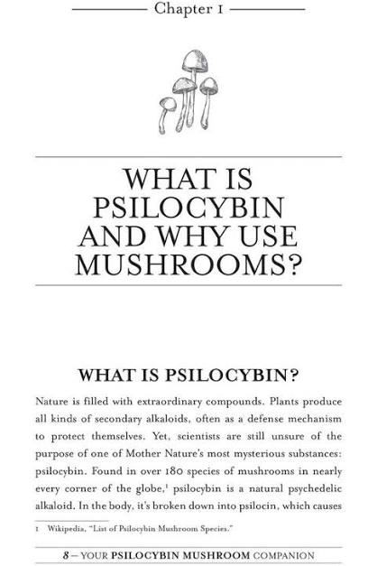 Your Psilocybin mushroom companion